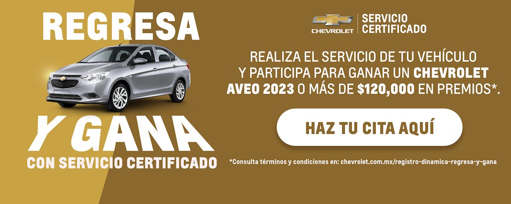  Distribuidor Autorizado
